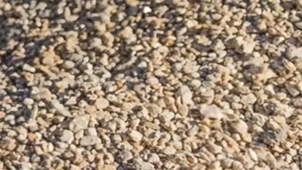10mm Pea Gravel: small rounded gravel in brown and grey tones
