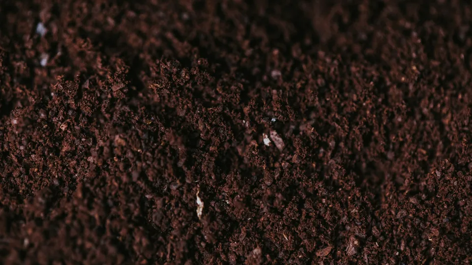 Screened Topsoil: fine, dark brown crumbly soil
